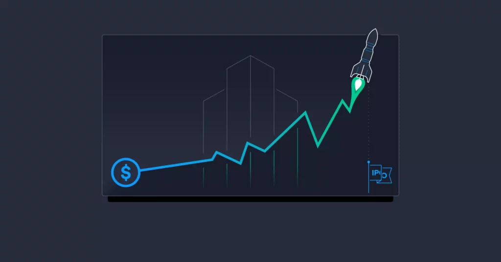 meaning of ipo